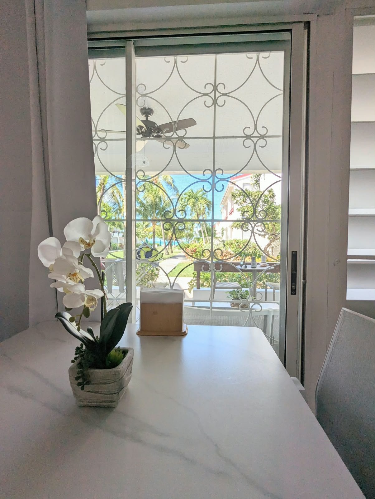 Through the door to the patio and the palms