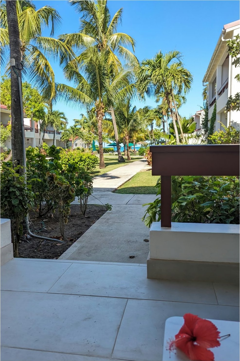 The path to the beach from the front step